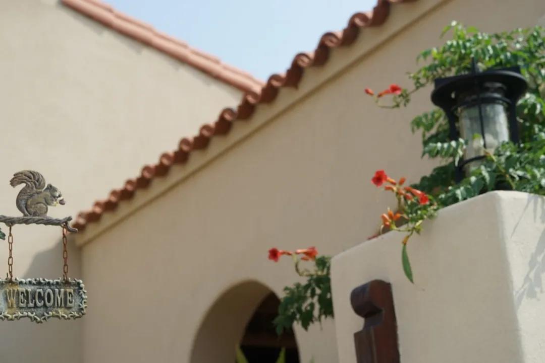 花期最长的院子，这家近海沙地的花园民宿，有故事有干货