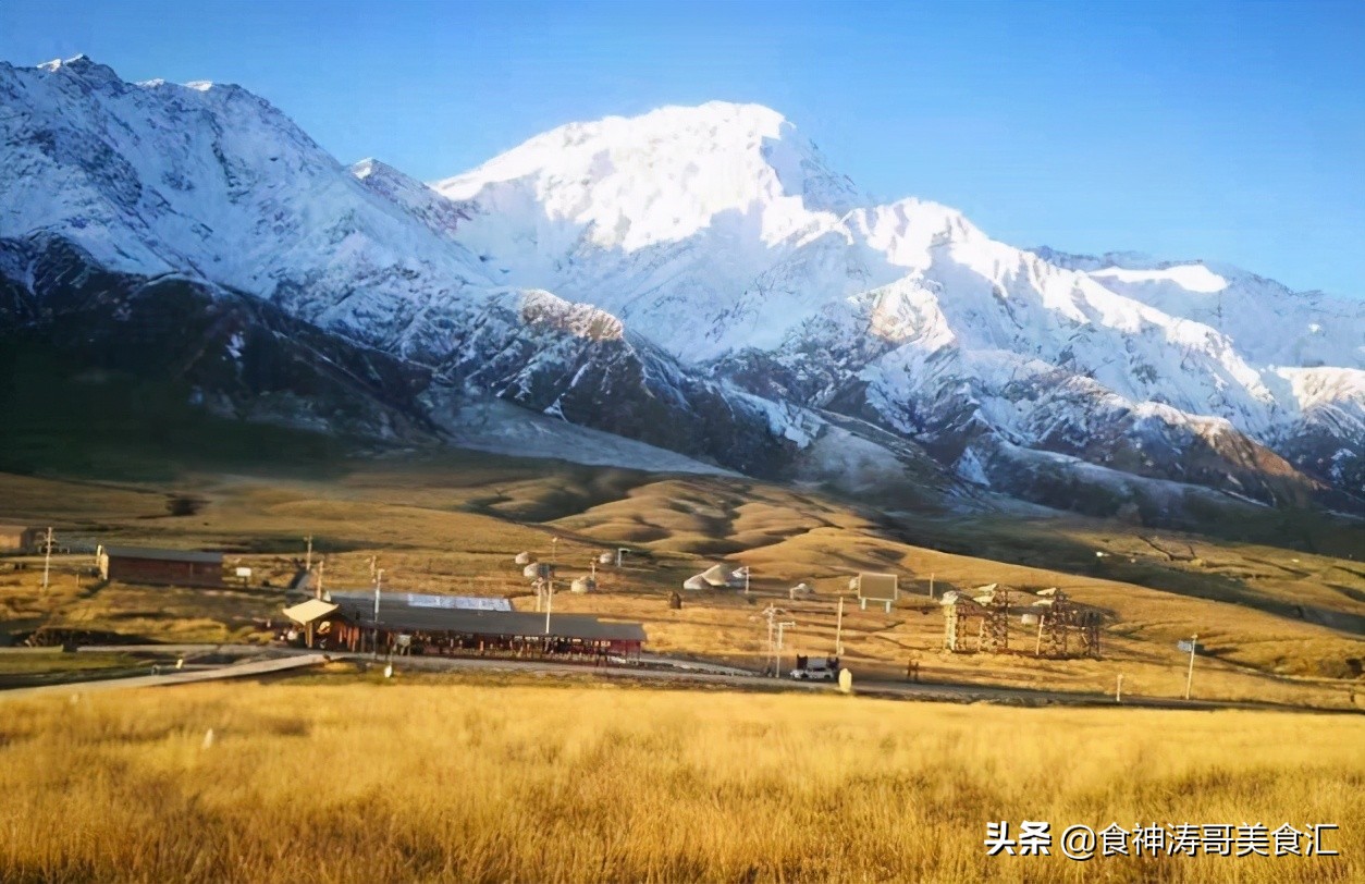 长寿的新疆人喜欢吃什么,中国新疆最长寿老人有何生活特点