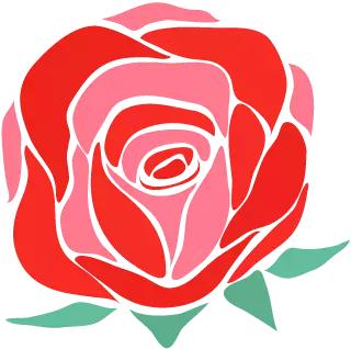 2019福建高考满分作文题目,2023年高考福建作文