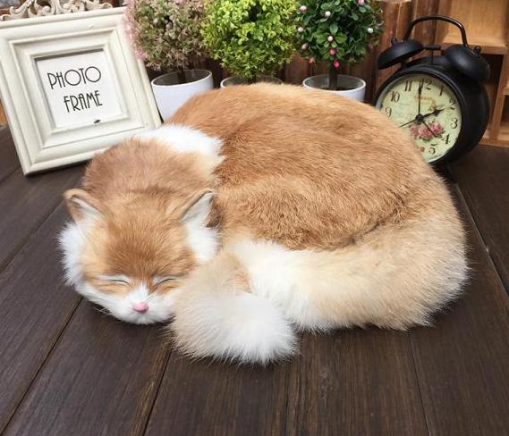 猫咪做梦抽搐,猫咪睡着了抽搐是在做梦吗