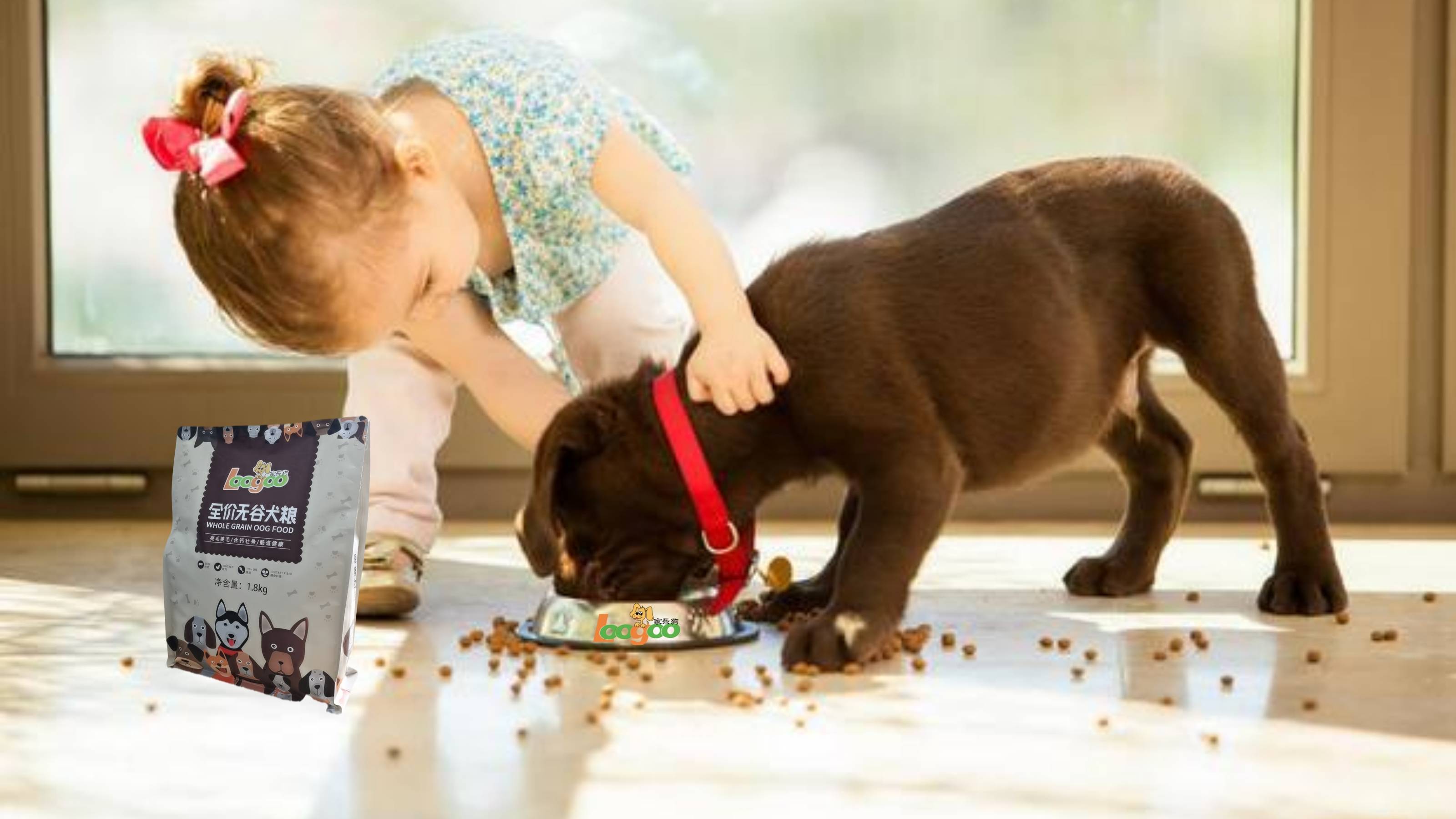 怎么给狗狗选狗粮,选狗粮的正确方法专家推荐
