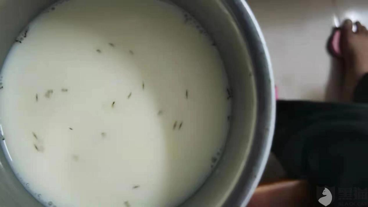 “黑蚂蚁”？塑料片？雅培奶粉再陷“杂质门”？