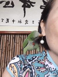 搞笑gif说出来你可能不信,搞笑gif真是令人窒息的操作