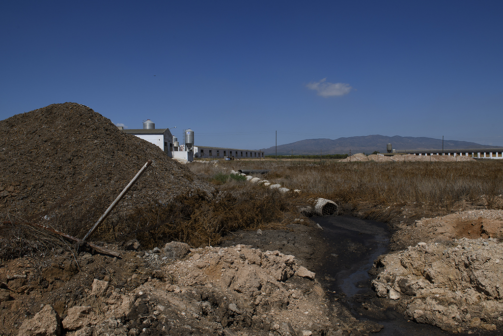 必须中国人来负责？西班牙最大潟湖污染：因为中国人爱吃猪肉
