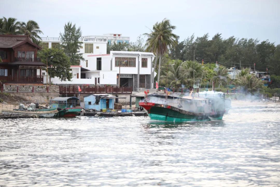 开海季都有什么海鲜,开海了这些生猛海鲜