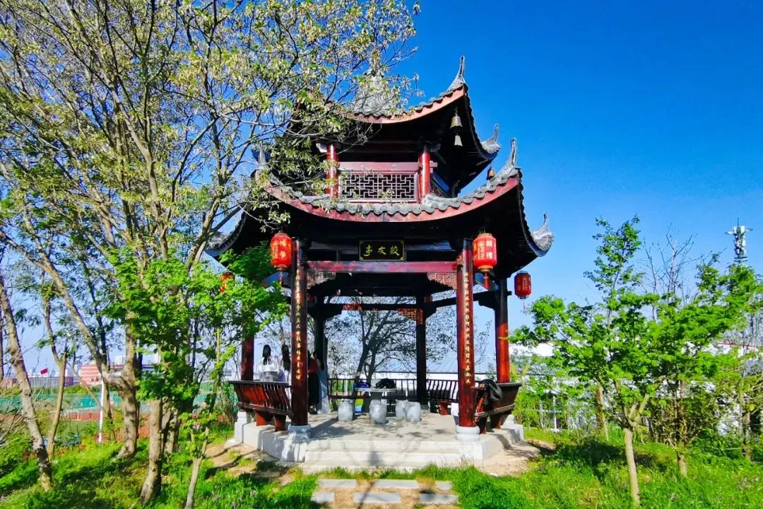 淮南师范学院在安徽排名,淮南师范学院安徽省排名