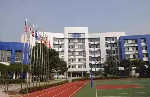 “小牛娃们终于上岸了，上海16所小学名校真题汇总出炉啦！