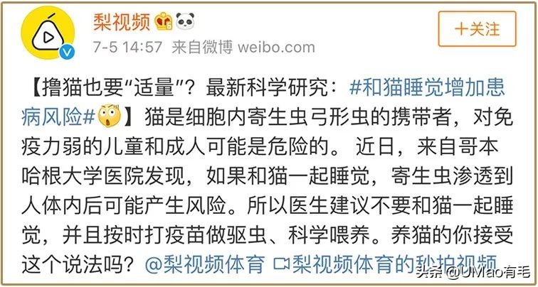 关于弓形虫你所不知道的一切,被弓形虫刷屏的视频