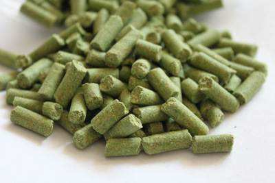 水库钓青鱼手竿线组,5.4手竿钓青鱼怎么调漂