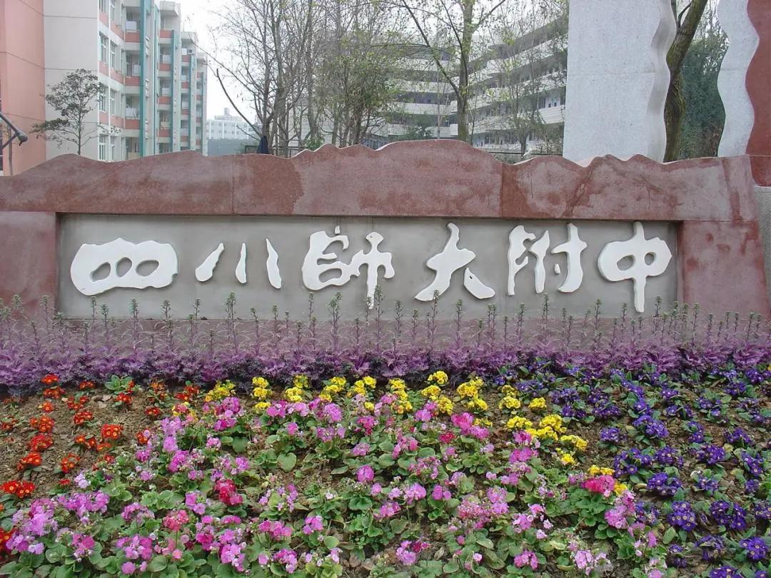 成都锦江四片学区怎么样,锦江四区学区如何