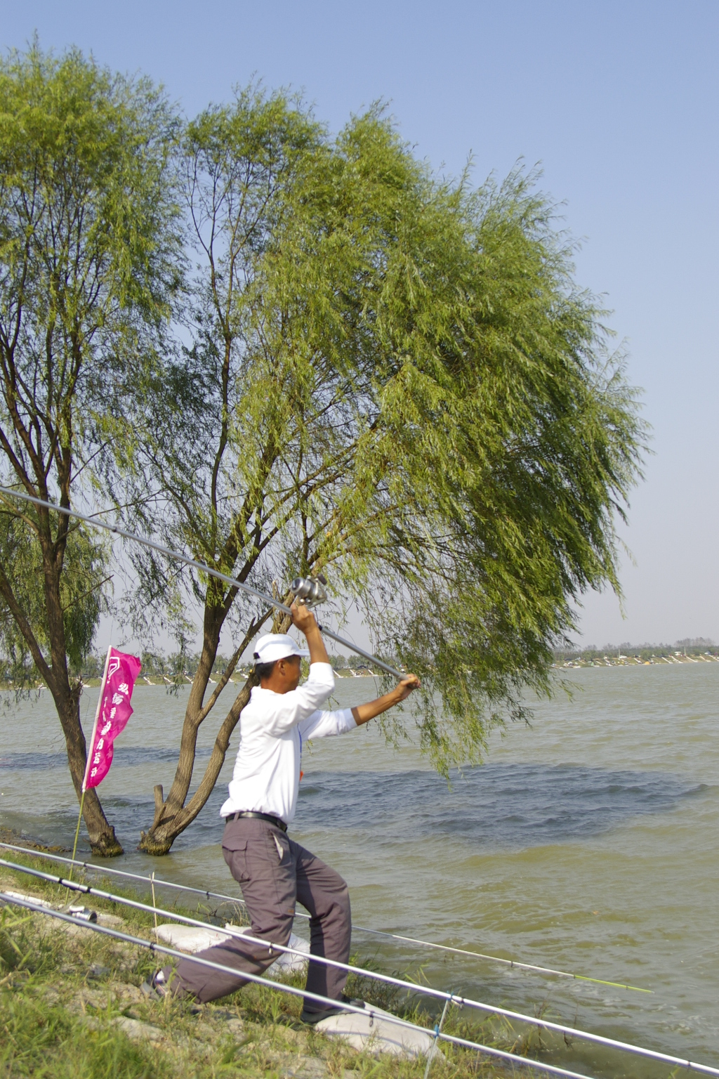 钓了这么久才钓到几条鱼,钓了几年鱼终于钓上来一条