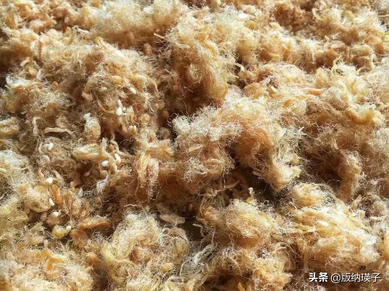 原来肉松这么做才好吃,之前都做错了,难怪肉松又干又硬不蓬松