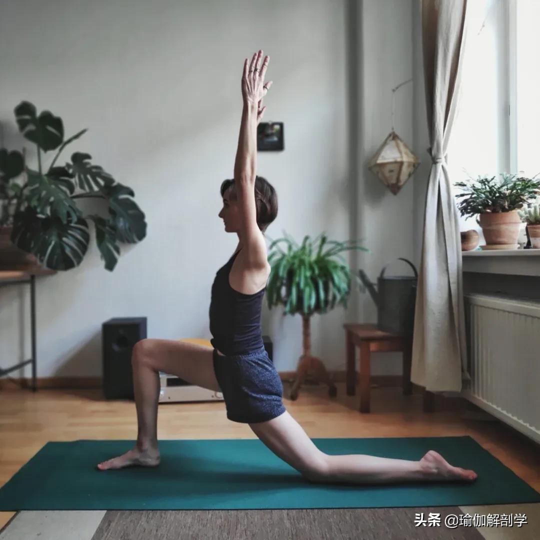 最简单的瑜伽动作初学者,最简单的瑜伽动作刚入门