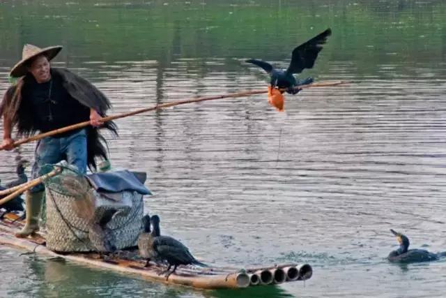 秋天的杭州自驾游,杭州秋冬自驾