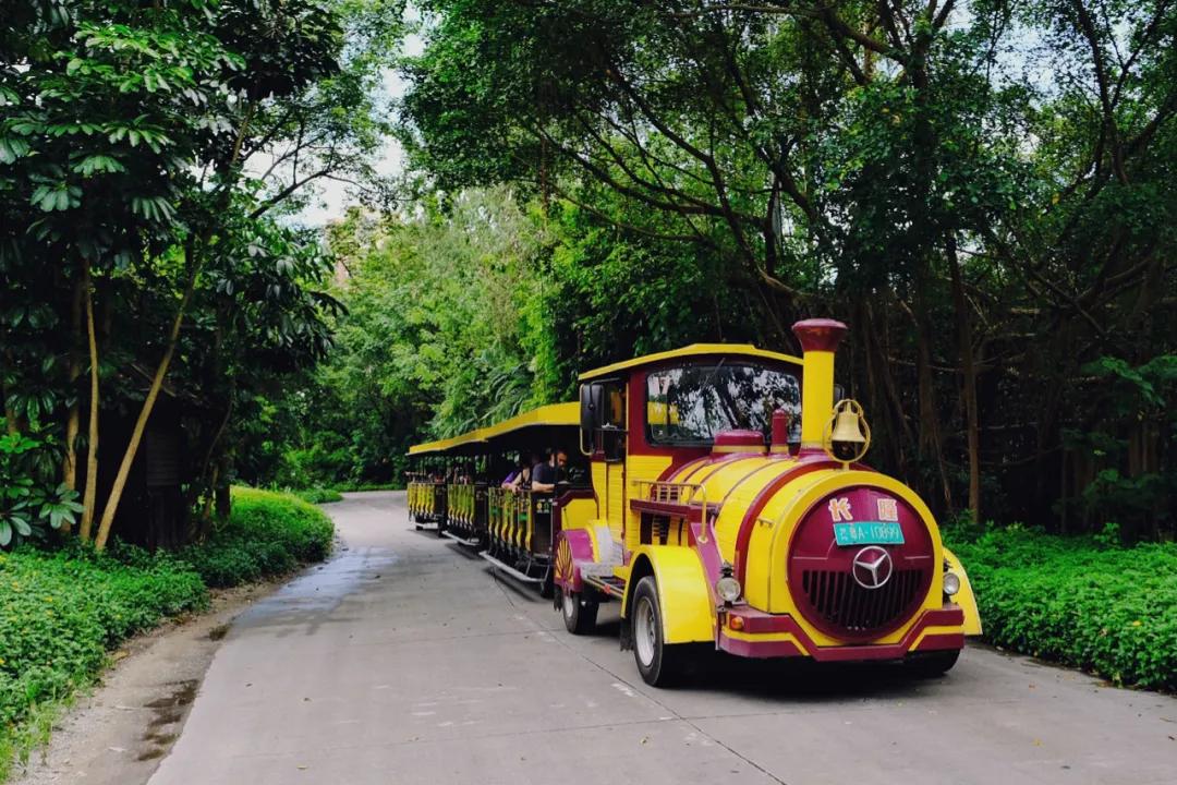 广州长隆怎么玩最划算攻略分享,广州长隆省钱攻略