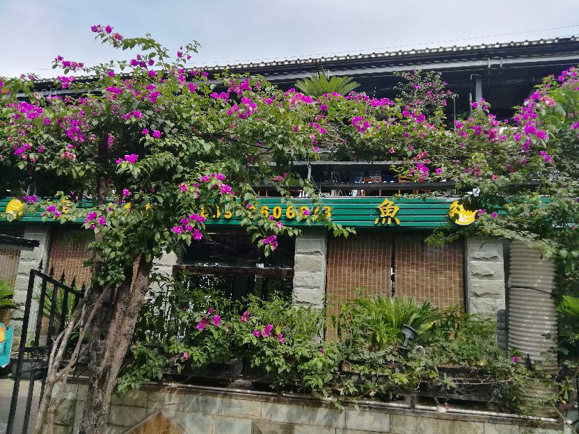 千山万水旅行,千山万水自驾游视频