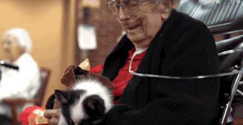 93岁奶奶恶搞27岁孙子,一夜爆红!1300万网友围观:奶奶太坑了