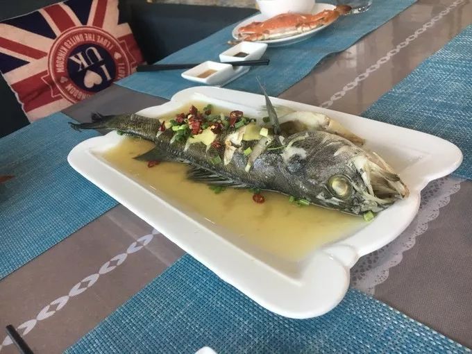 初心枸杞岛旅游攻略,枸杞岛旅游攻略大全