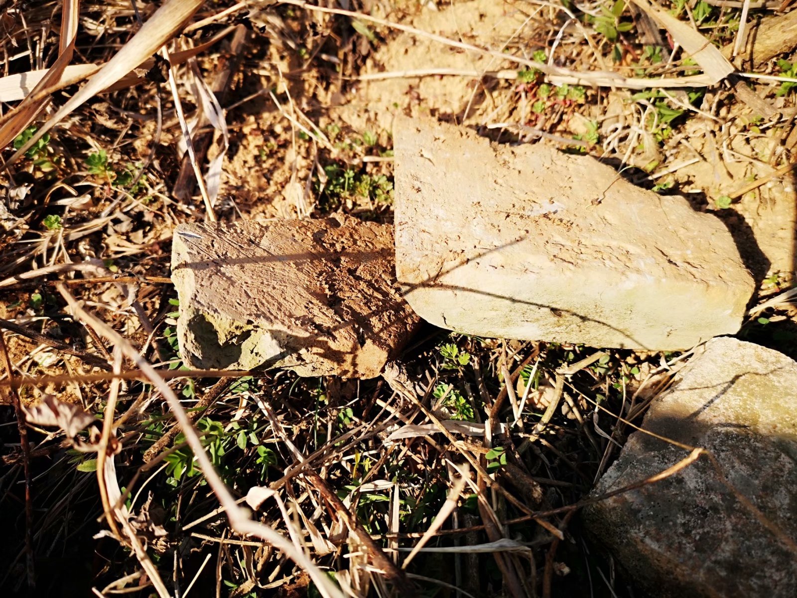 摩托周边旮旯游——探访蚌埠李楼鲁山寺遗址（上）