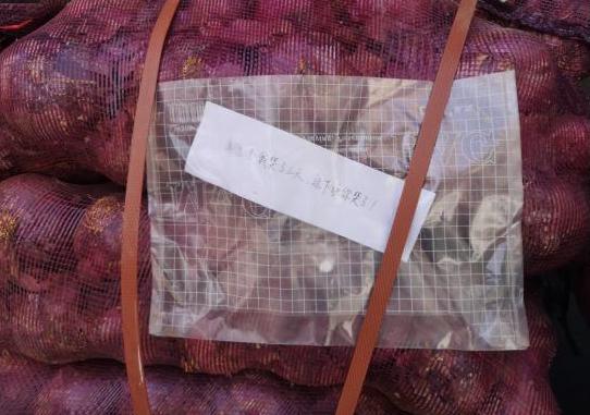 淄博女孩送前男友一吨洋葱,女孩网购1吨洋葱送前男友