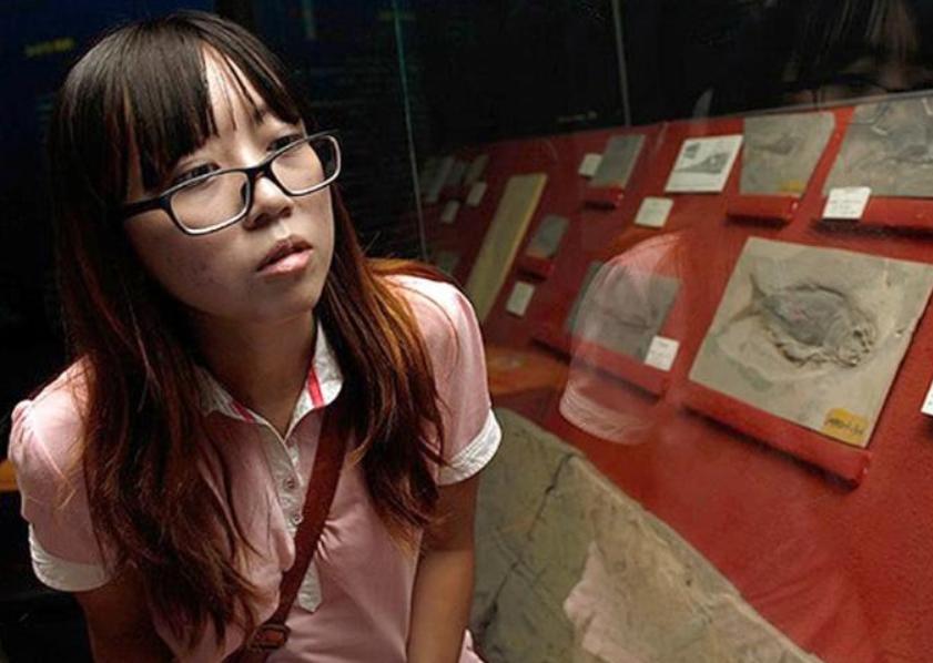 北大超冷门专业,北大最冷门的专业有哪些