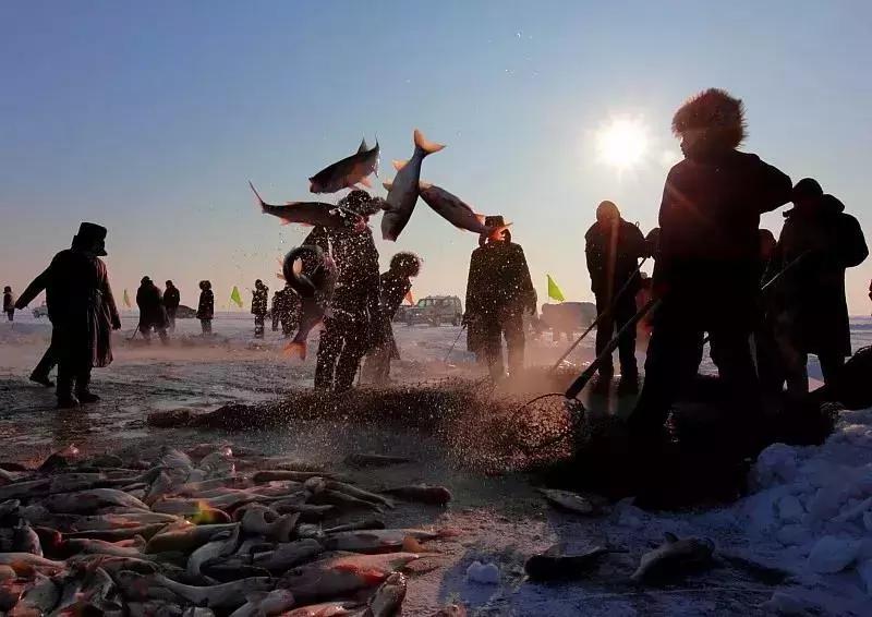 大美龙江黑河恋歌视频,大美龙江冰雪画