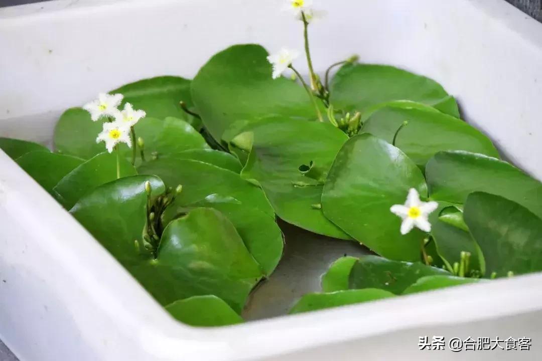 <html>
<head><title>502BadGateway</title></head>
<body>
<center><h1>502BadGateway</h1></center>
<hr><center>nginx</center>
</body>
</html>
<!--apaddingtodisableMSIEandChromefriendlyerrorpage-->
<!--apaddingtodisableMSIEandChromefriendlyerrorpage-->
<!--apaddingtodisableMSIEandChromefriendlyerrorpage-->
<!--apaddingtodisableMSIEandChromefriendlyerrorpage-->
<!--apaddingtodisableMSIEandChromefriendlyerrorpage-->
<!--apaddingtodisableMSIEandChromefriendlyerrorpage-->
