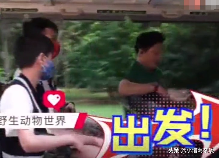 独此一家！全红婵全程被跟拍，广东台国庆节连播3天，真有牌面啊