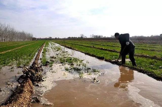 种地省油省米的秘诀,种地秘诀