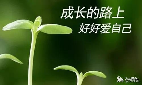 闆佹澇璇楄瘝,闆佹澇