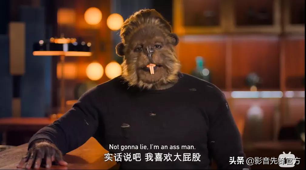 跨种族相亲,跨越种族相亲讲的什么