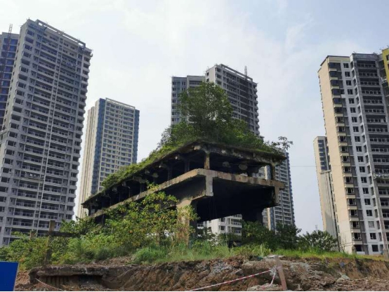 扫街日记100篇,扫街日记视频