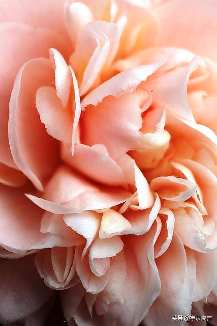 适合成年人黑色的幽默段子,最新的黑色幽默的段子