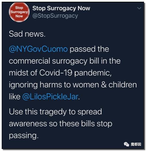 纽约通过合法代孕！中国女性千万要注意，代孕已经毁了很多女孩。