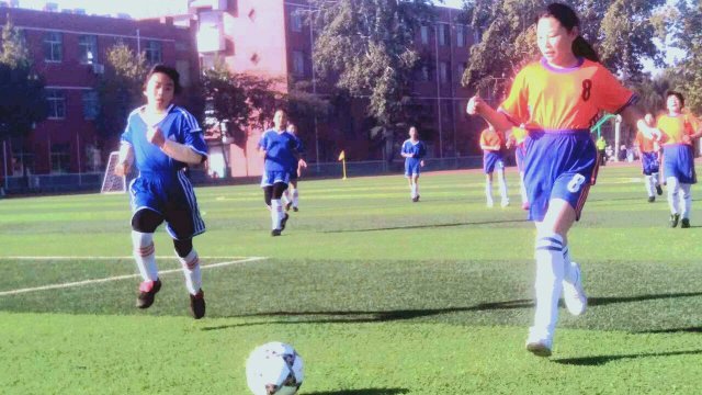 泰安岱岳区校园足球,山东省政府表扬泰山队