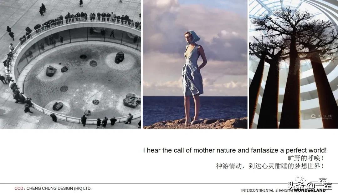 我在PPT中加上概念分析图，方案就通过了？