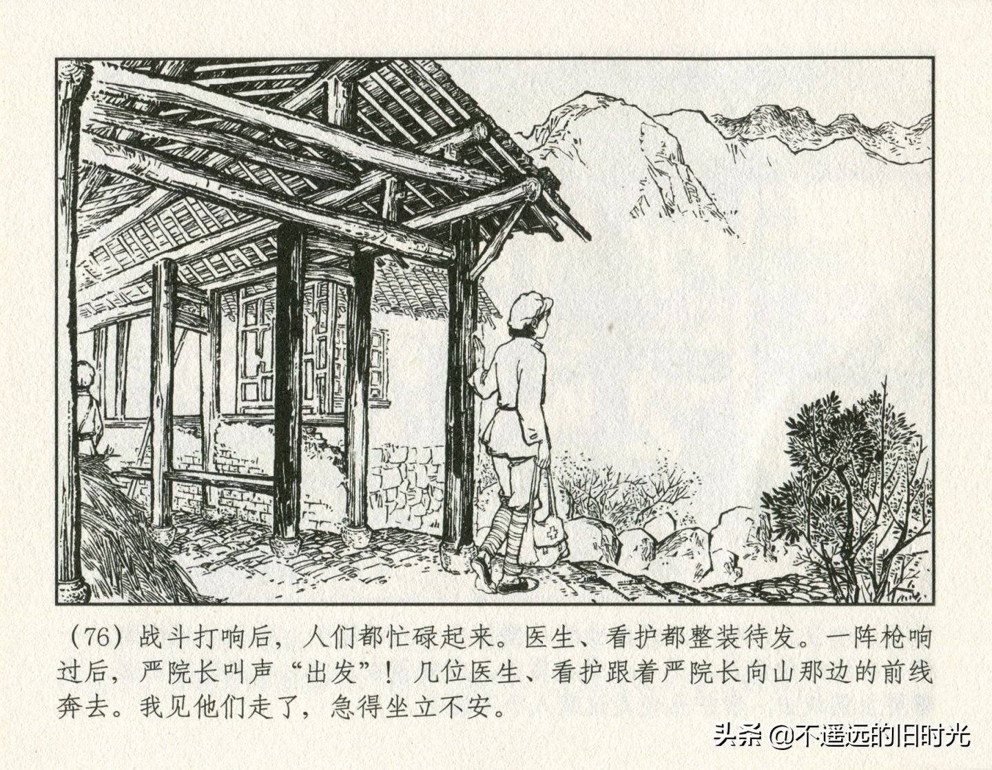 朝阳花-上海人民美术出版社1981初版2016再版陆成法陆小弟绘