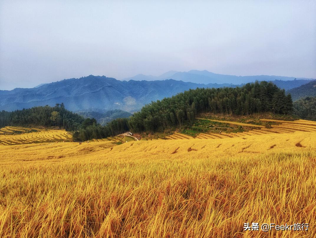 私藏菲律宾同款空中佛手，落胃美食从早吃到晚，这座广东小城该火