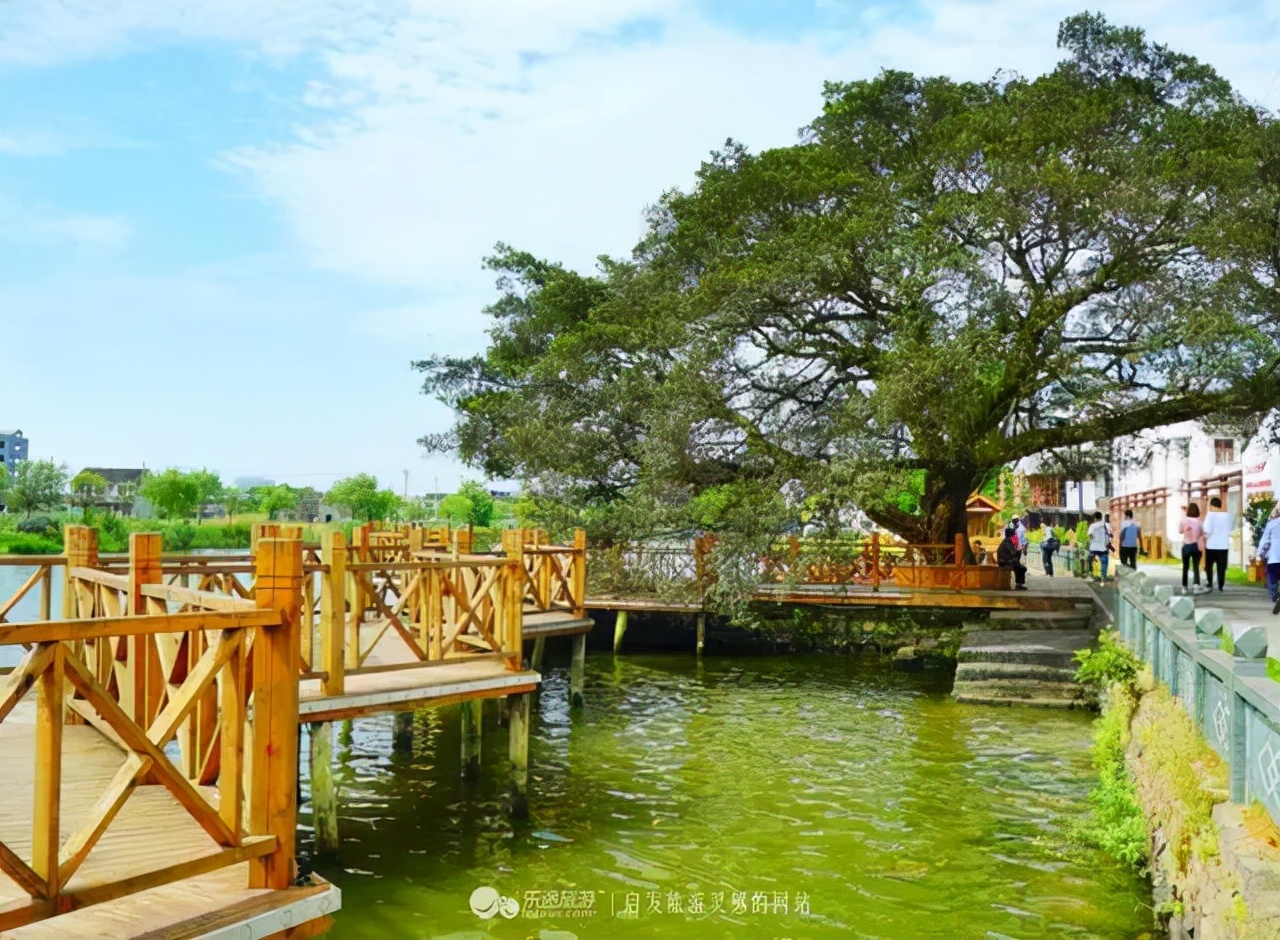 苍南千年古村旅游攻略,苍南十大最美村庄