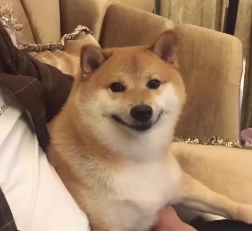 敏感肌痘痘肌大干皮统统看过来,敏感痘痘肌可以用什么产品