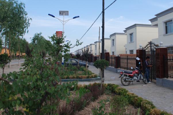 焦作的这个城中村，被称为留情村，是大学生情侣的天堂