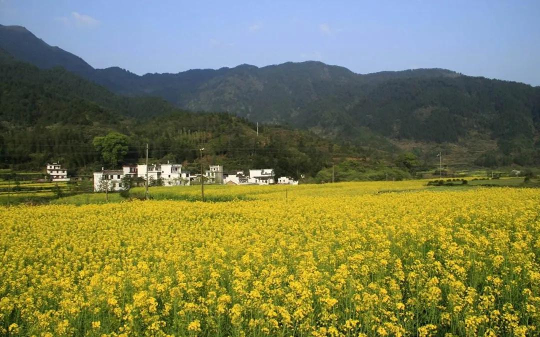 疫情结束后，每个秦皇岛人都想完成的50件小事