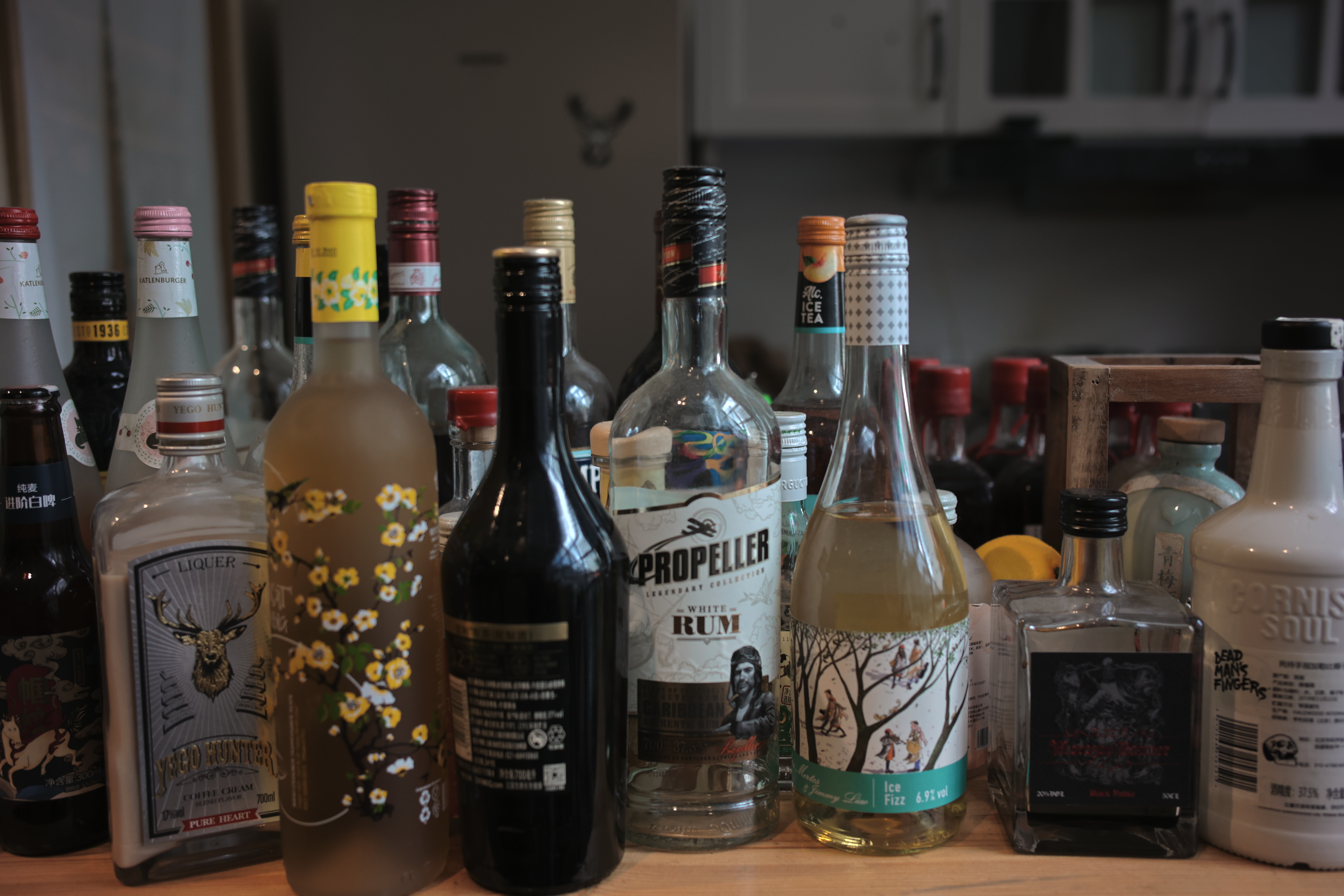 35mm镜头的最佳拍摄距离,摄影新手适合35毫米镜头吗