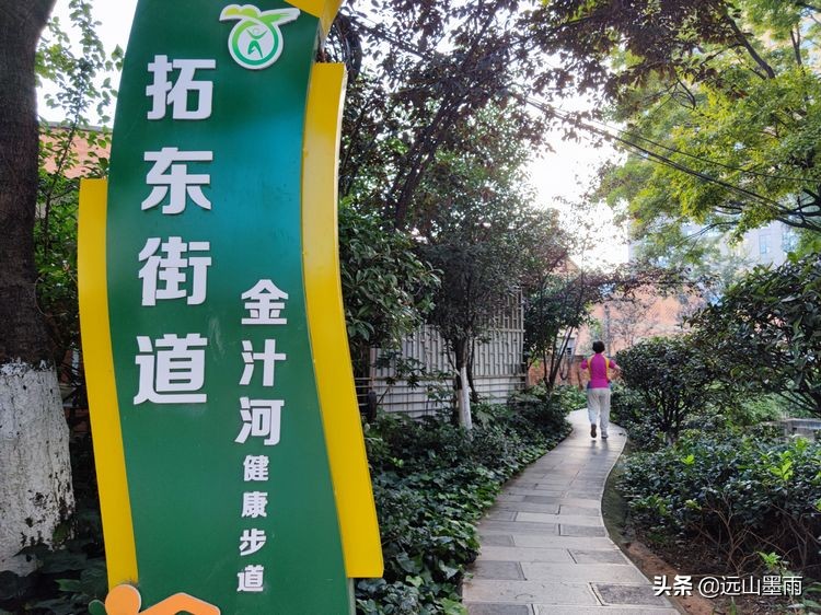 绿树成荫林荫小道,绿树成荫的小路视频