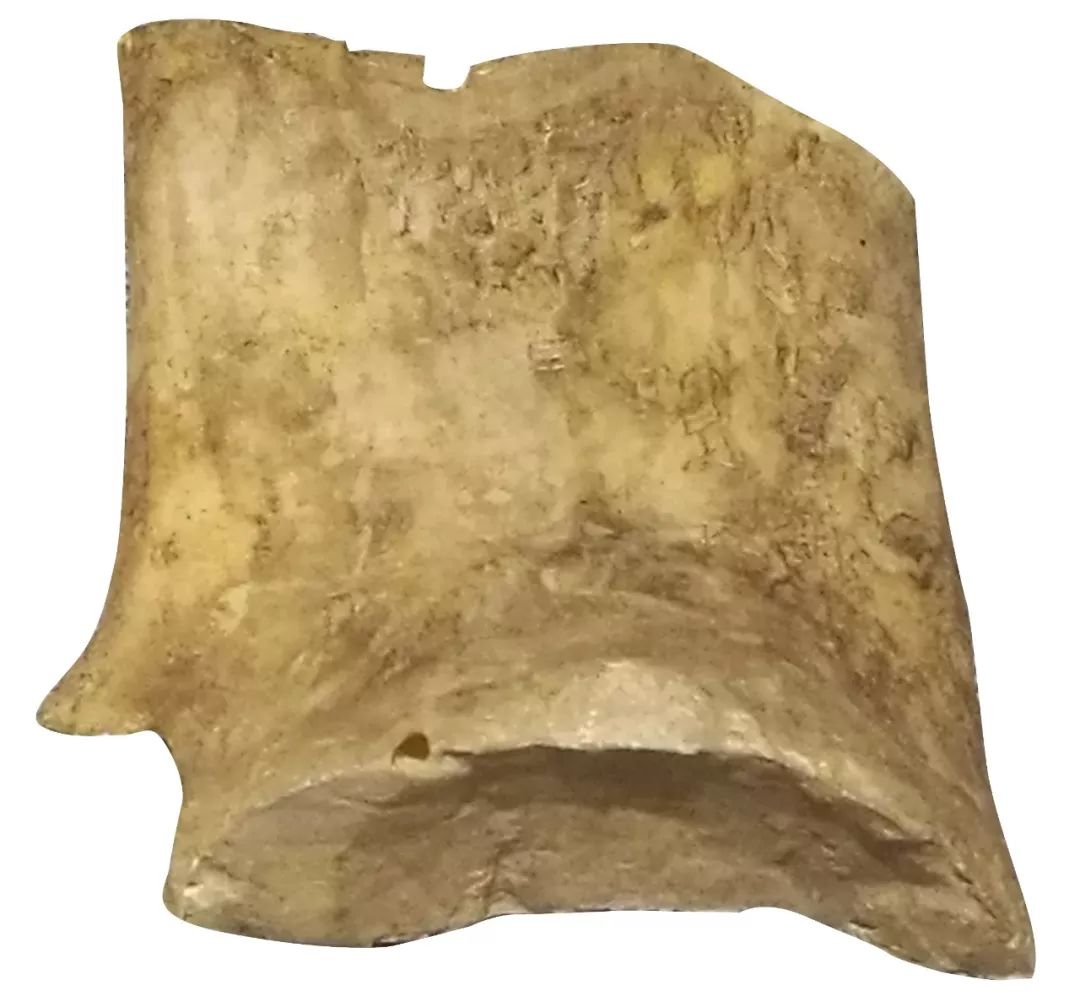 甲骨文书法图片大全,甲骨文书法图片高清