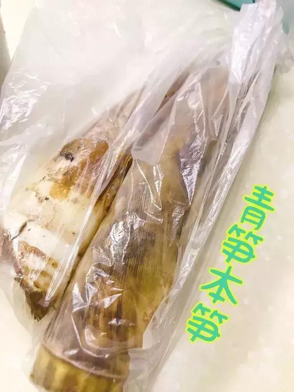 上海高逼格网红打卡地探店,上海网红打卡地小红书