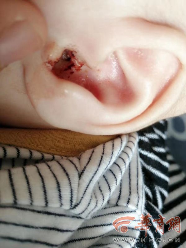 家政育儿嫂西安,西安市家政月嫂育儿嫂