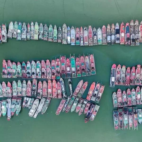 广东鼓浪屿,鼓浪屿成了世外桃源