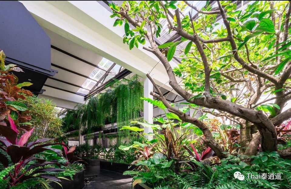 普吉岛spa预订,普吉岛spa是全国连锁吗