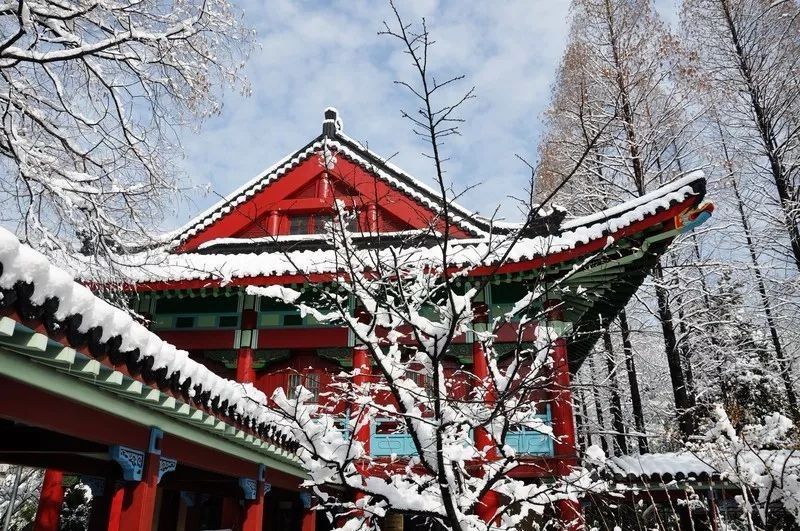 南师大马拉松,南京师范大学马拉松直播